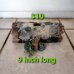 Fish Tank Aquarium 