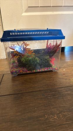 Small aquarium