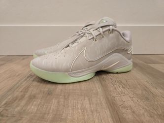 NIKE LEBRON 22 DUNKMAN MENS...SZ 10...BNIB
