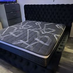 Black Velvet King Size Bed Frame  / Mattress Included.         Cama King Size Color Negra Colchon Incluido 