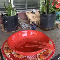 Salad Bowl 