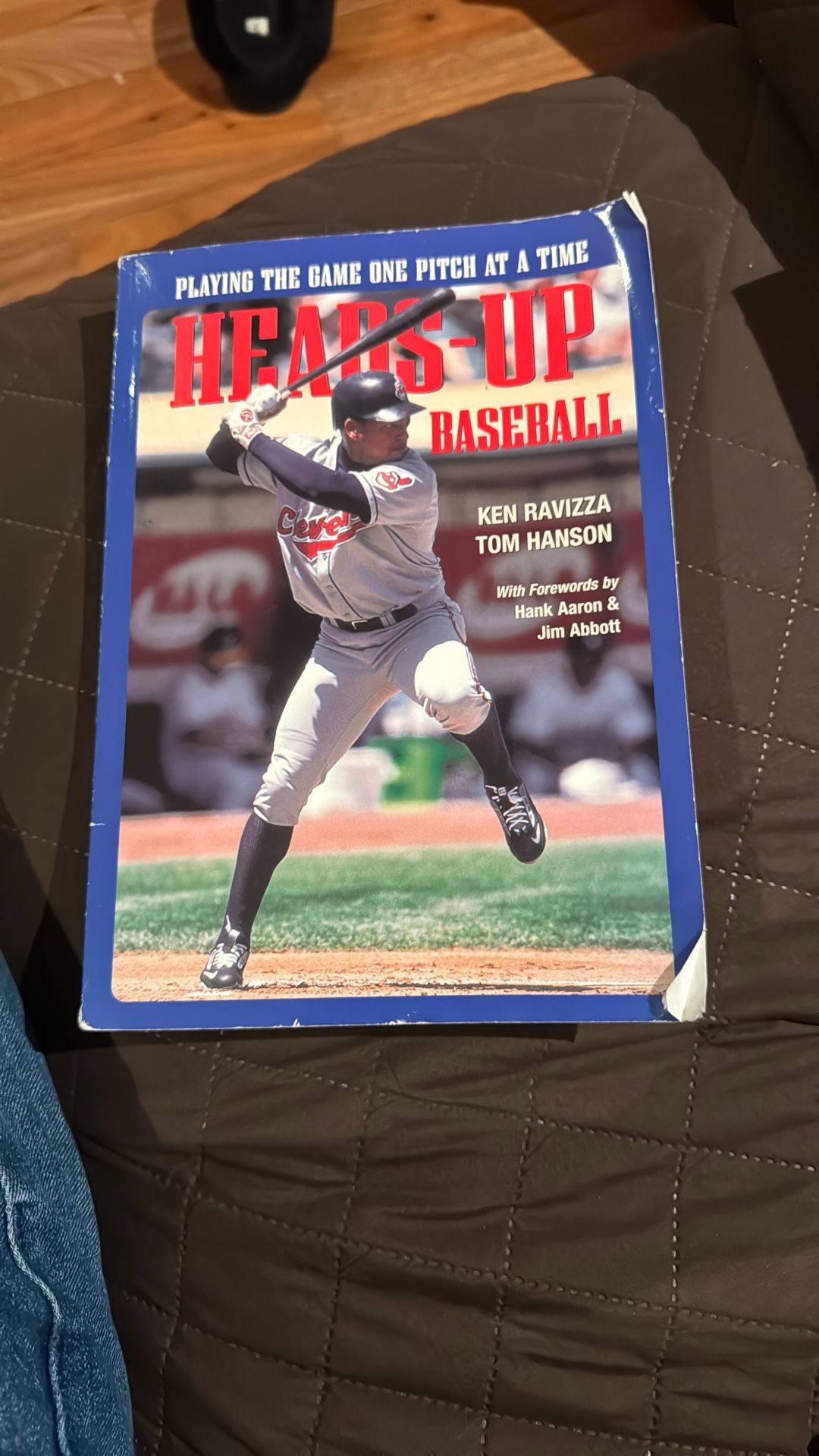 Heads Up Baseball Book 