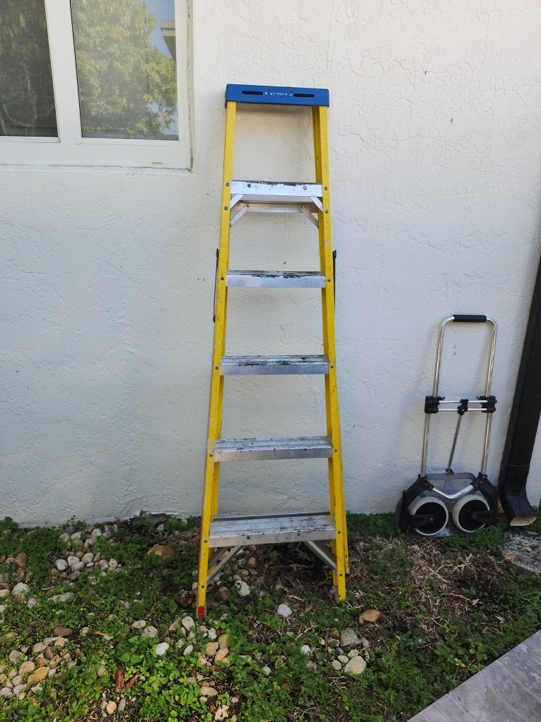 Ladder 6 foot. Ladder