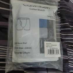 Calvin Klein Briefs 