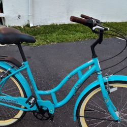 Schwinn Cruiser 