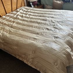 Comforter