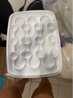 10 inch cake and cup cake carrier
