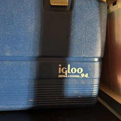 Igloo Cooler