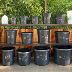 Nursery Pots ~ ! ~