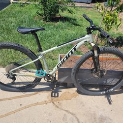 Giant talon 1 2021 desert sage sale