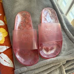 Brand new coach slides