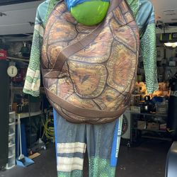 Teenage Mutant Ninja Turtles, Halloween Costume Small