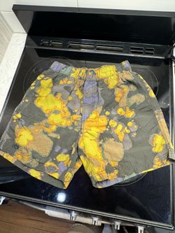 Urban Outfitters Swim Shorts