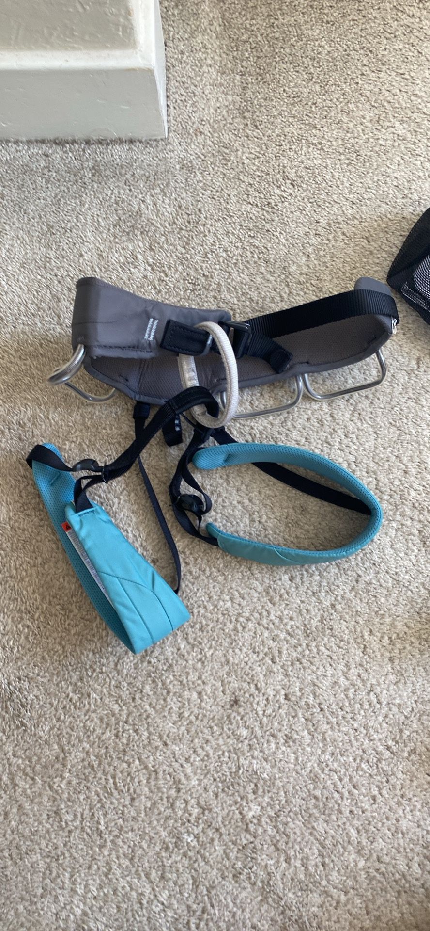 Black Diamond Climbing Harness
