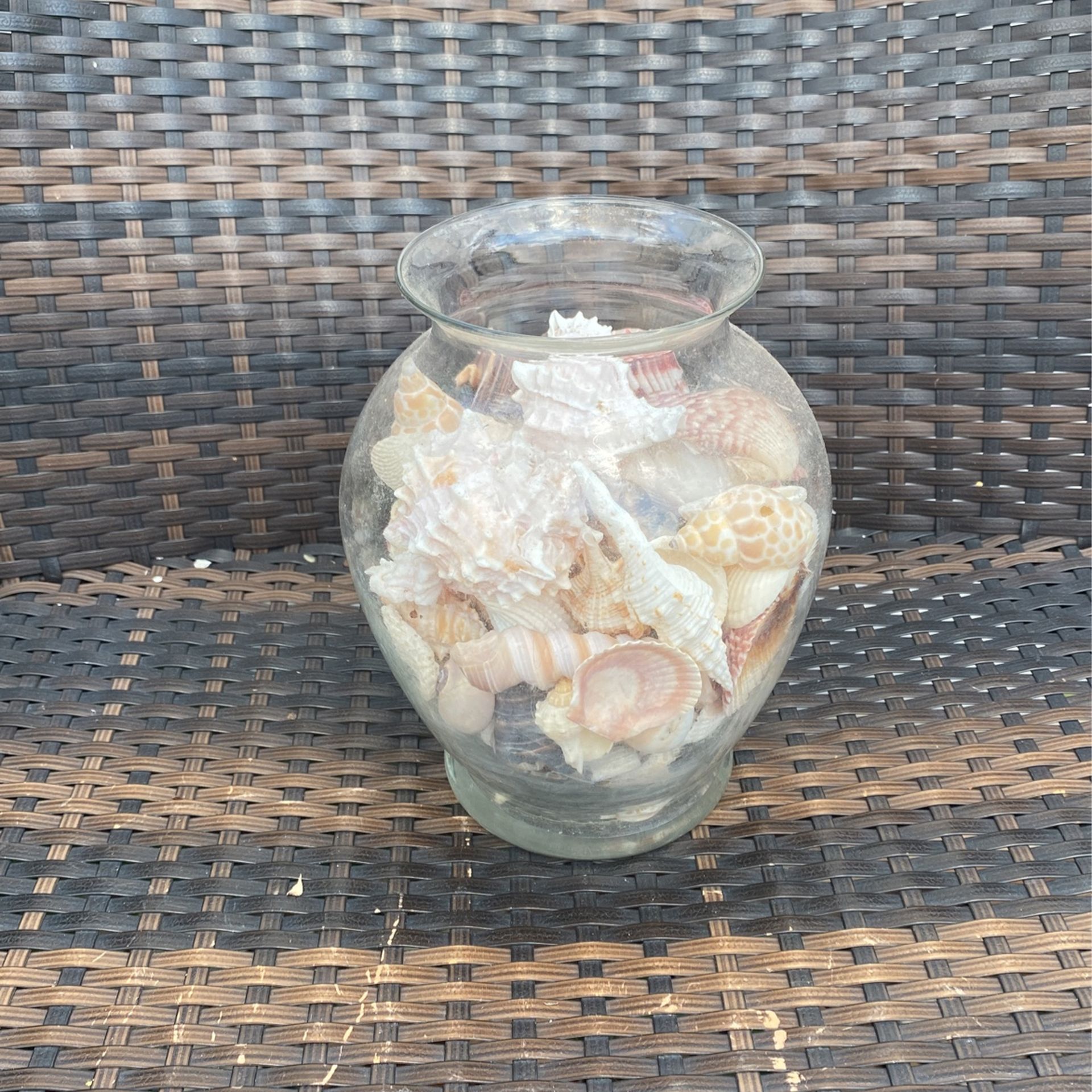 Vase Of Assorted shells 