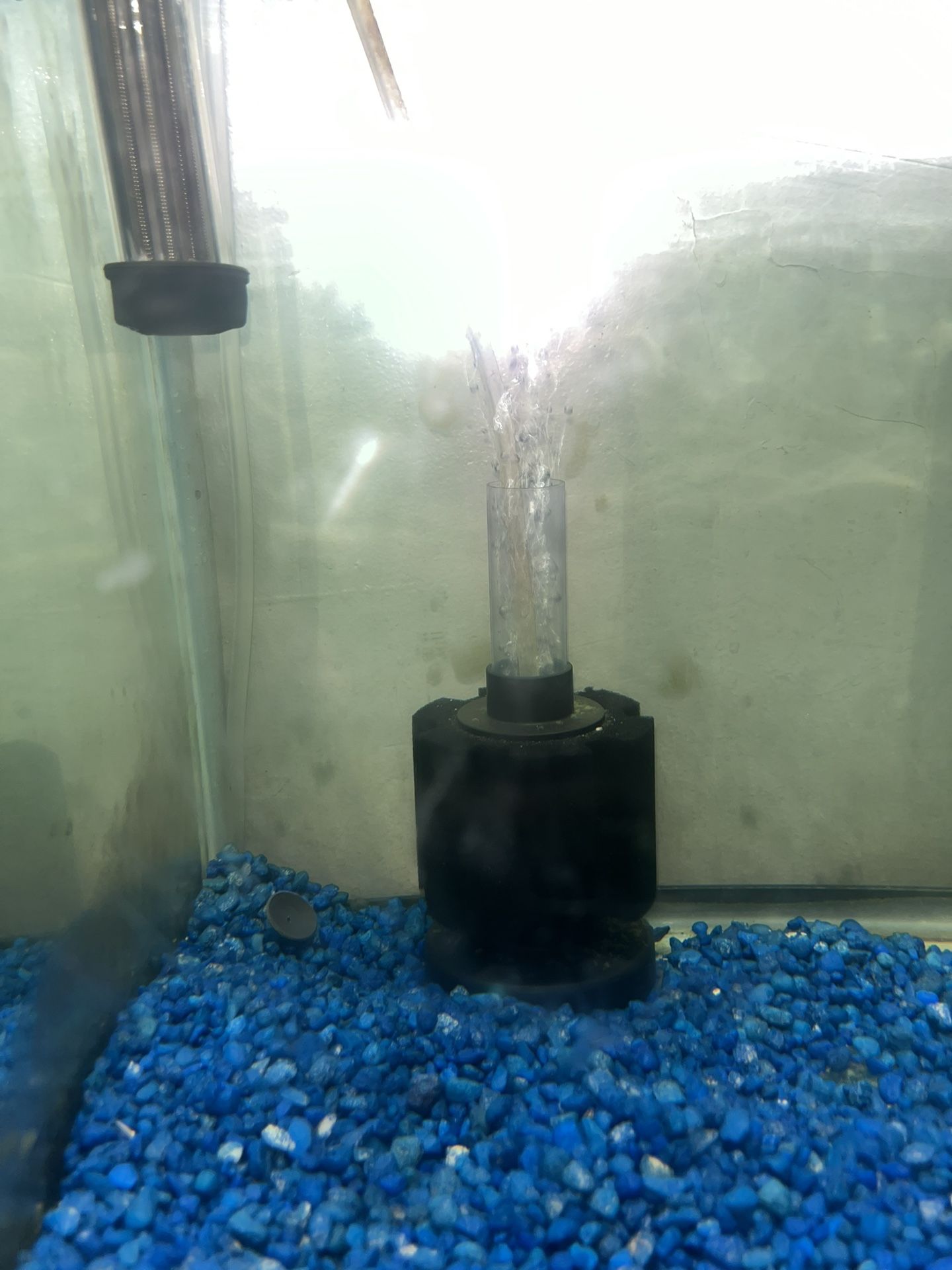 20-25. Gallon Fish Tank