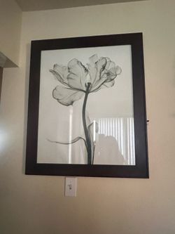 Parrot Tulips Il by Steven N Meyers Art Piece with Frame