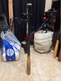 fungo bat
