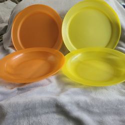 Double Plate Set of 2