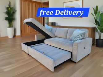 Sectional With Pullout Bed 