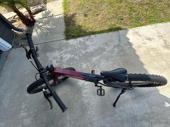 Roscoe Trek kids Mountain Bike