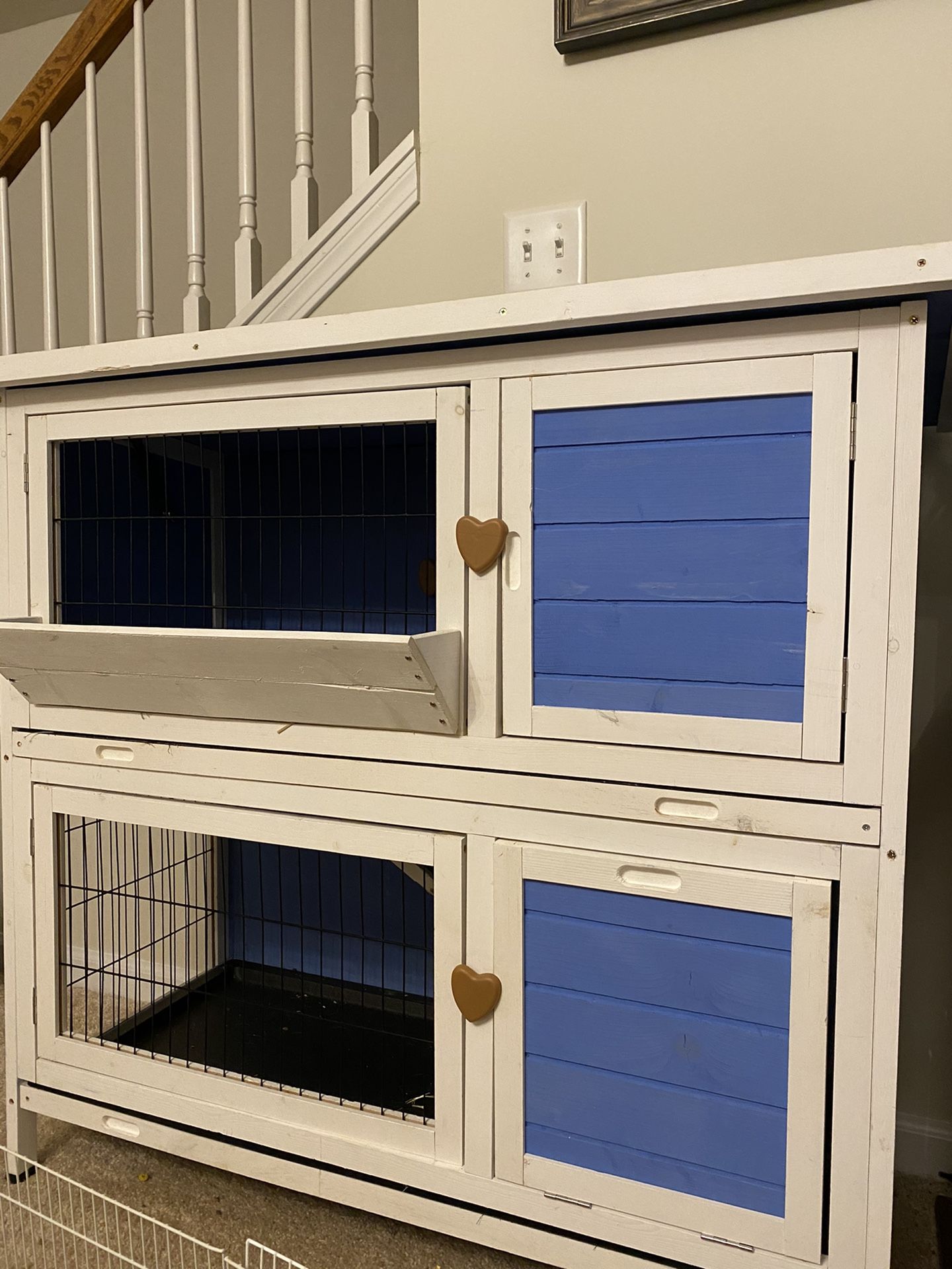 Rabbit/ Guinea Pig Hutch