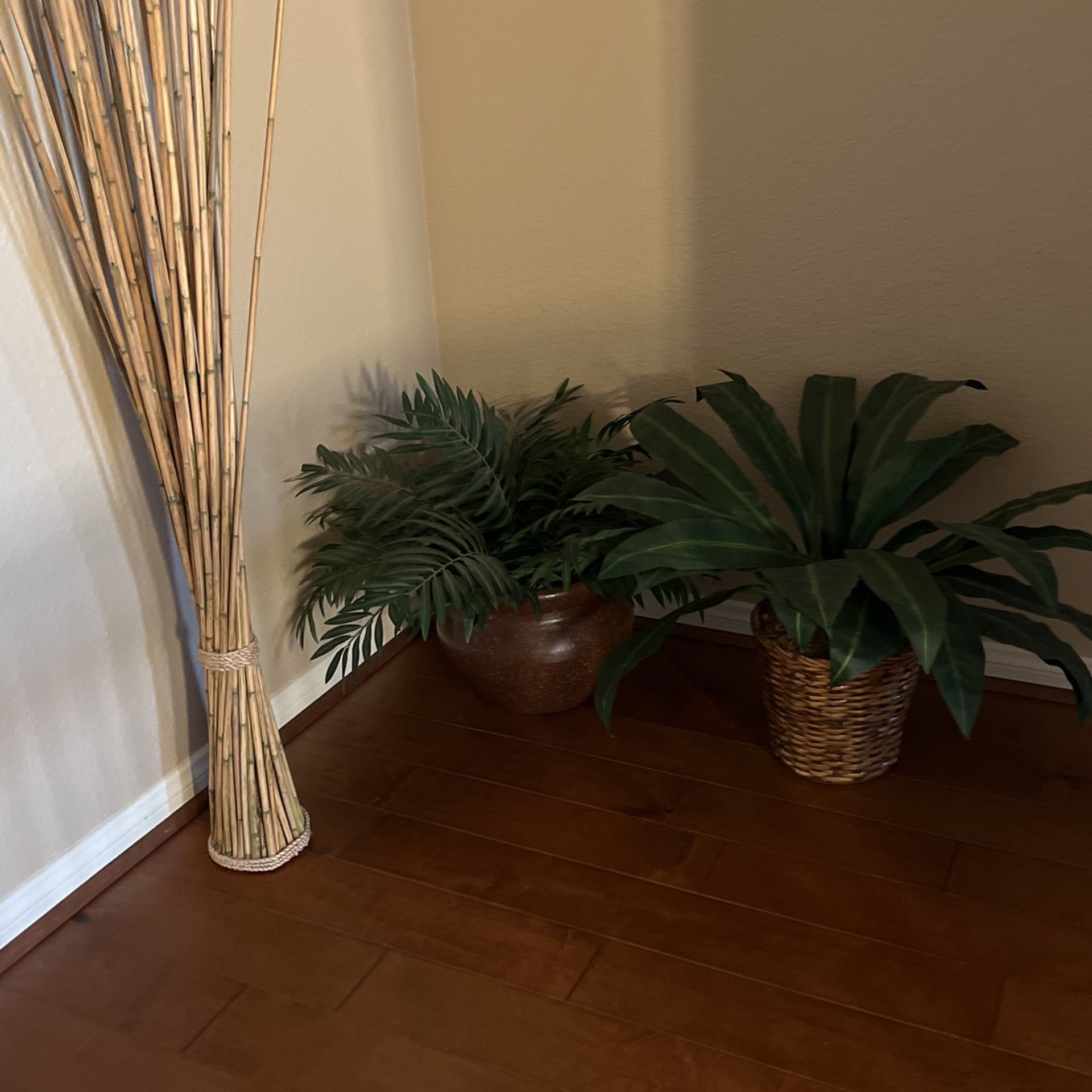 Plants and Decorative Bamboo