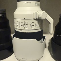 Sony FE 100-400mm f/4.5-5.6 GM OSS Lens