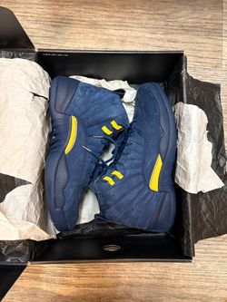 Michigan Jordan 12
