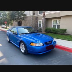 2000 Ford Mustang
