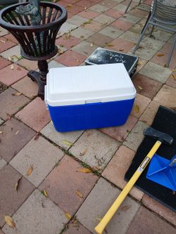 Cooler Large 20 Gallon