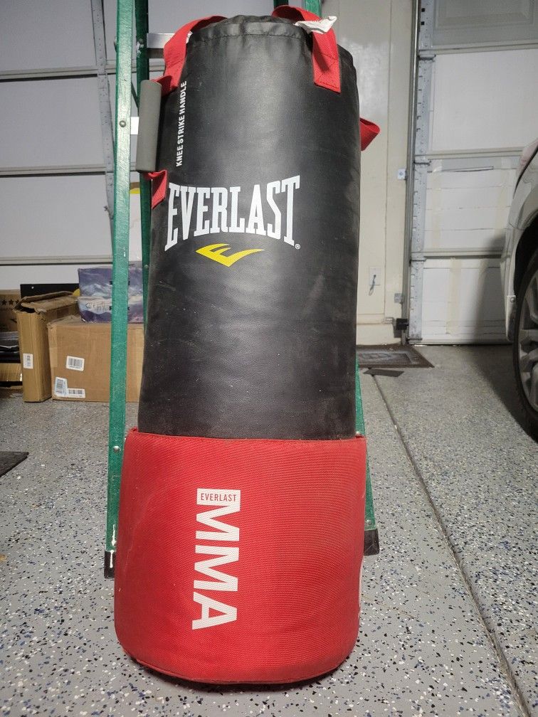 MMA Everlast Heavy Bag