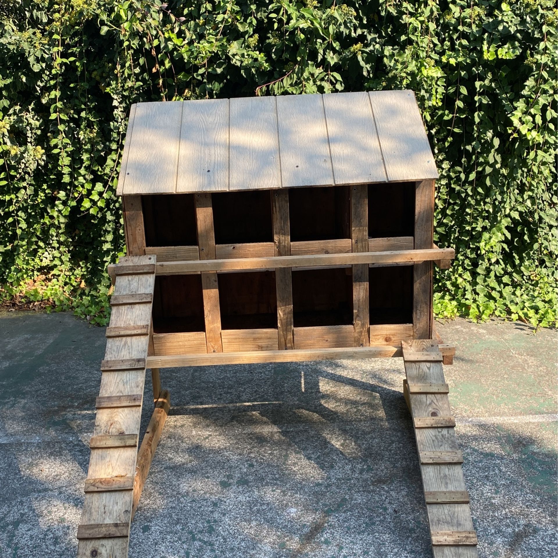 Chicken Nest