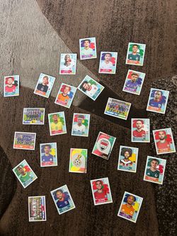 Paninis world cup
