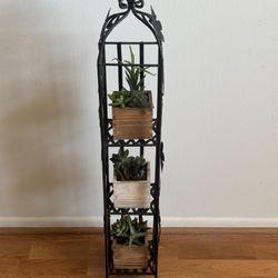 3 succulent plant arrangements wood with metal rack