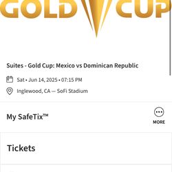 Gold Cup Mexico Vs Dominican Republic Suite tickets 