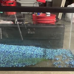 55 Gallon Fish Tank With Accessories 