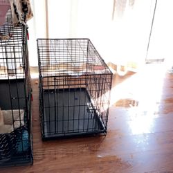 Small Size Cage