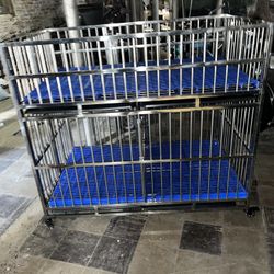 Newborn Puppy Set Up