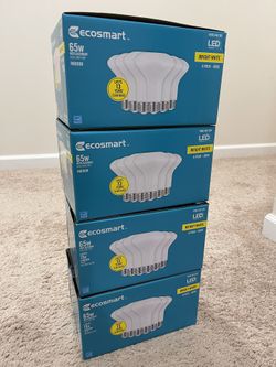 Ecosmart Bright White LED flood light bulbs, 6 pack