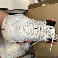 Air Jordan 12