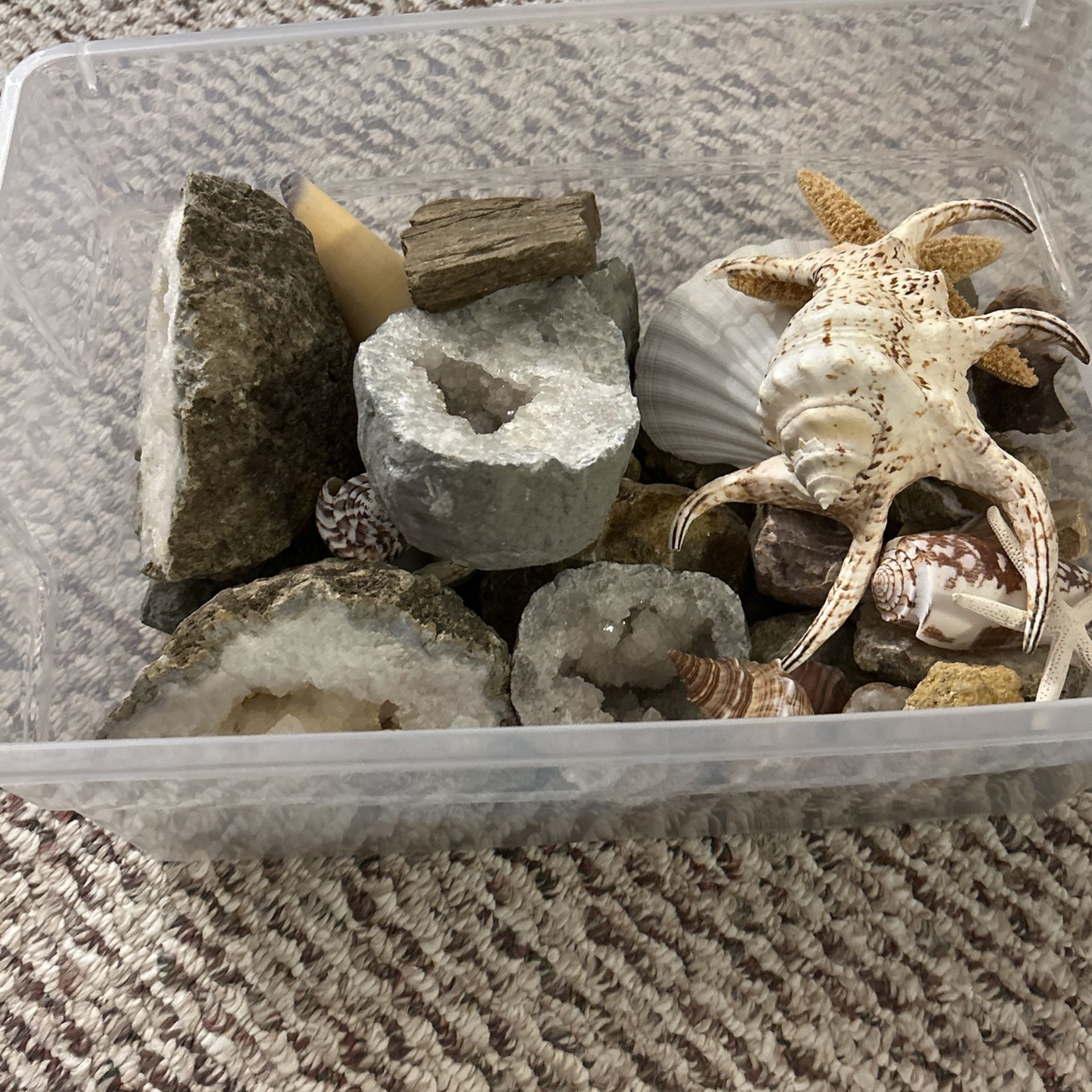 Majestic Rocks And Sea Shells