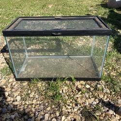 Small Reptile Tank