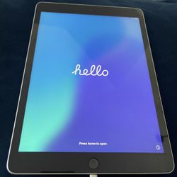 Mint Condition Apple iPad (9th Generation) 