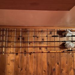 Fishing Rods