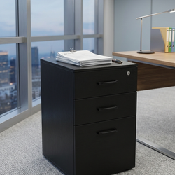 Letter size file cabinet with two drawers (No key)