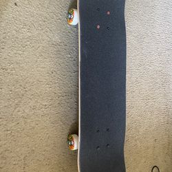 Plain Skateboard 