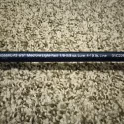 Fenwick Eagle 1 Piece Spinning Rod And Pflueger President Reel