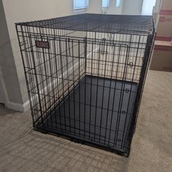 Kong Dog Cage