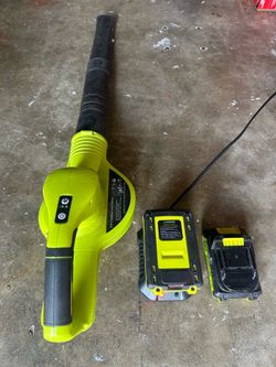 Leaf Blower with 2 Batteries & Charger